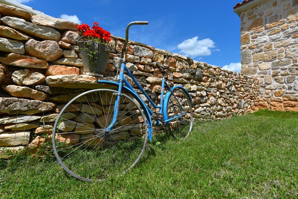 Rural House Kod Slapa Villa Bogatić Екстериор снимка